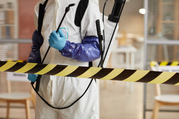 Professional Sewage Cleanup technician working in Lafayette, NJ