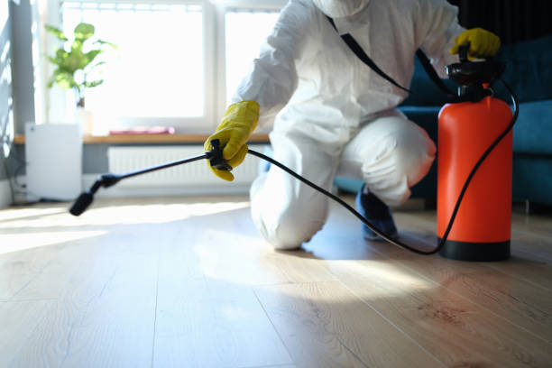 Reliable Sewage Cleanup contractor in Lafayette, NJ by Trauma Clean Pros
